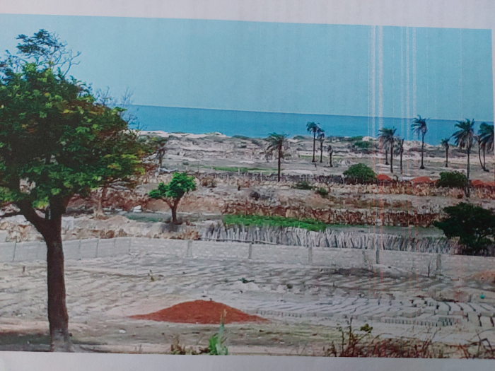 Land for sale in Sambujang Kombo South 7 plots for residential with